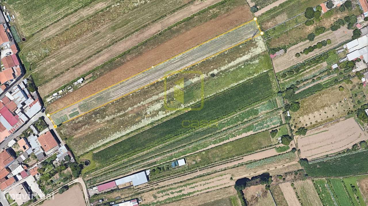 Terreno Rústico - Grande imagem: 4/11