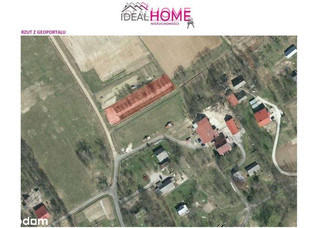 Działka na sprzedaż - Świebodna - Pełny obrazek: 5/16