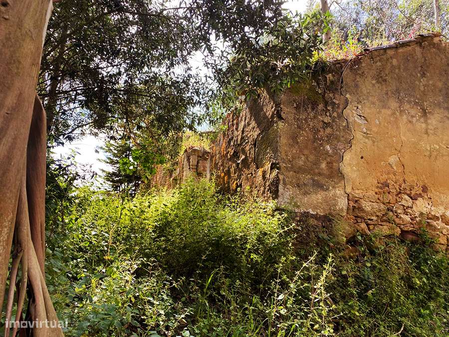 Habitação em ruína, grande terreno, a 5 min. de C. da Rainha e Óbidos - Grande imagem: 5/11