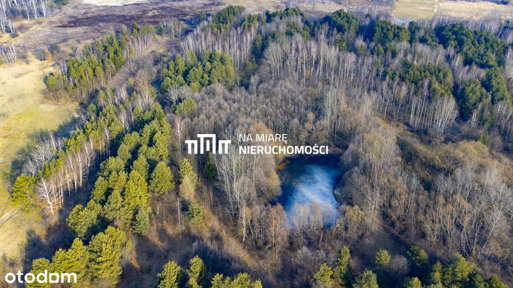 Działka rolno-rekreacyjna | 2.1 ha - Pełny obrazek: 4/6