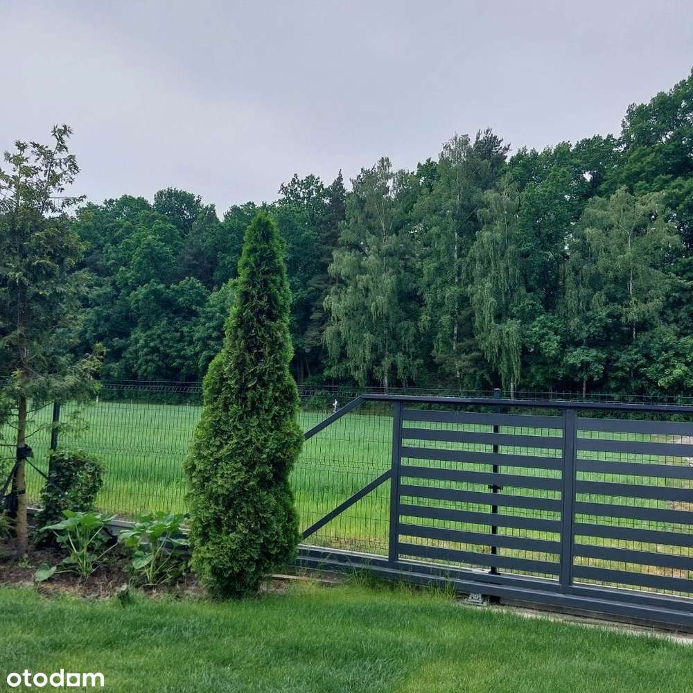 Bezpośrednio piękne działki w Powsinie - Pełny obrazek: 5/11