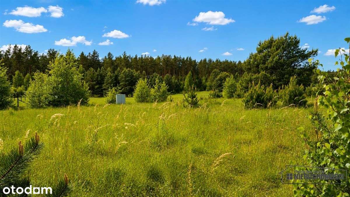 Działka budowlana nad pięknym jeziorem Dołgie.-13