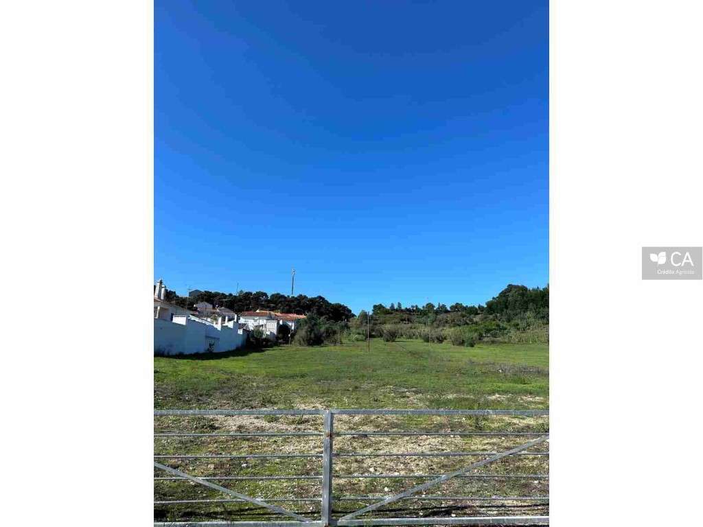 Vinha do Alarcão - Grande imagem: 3/7