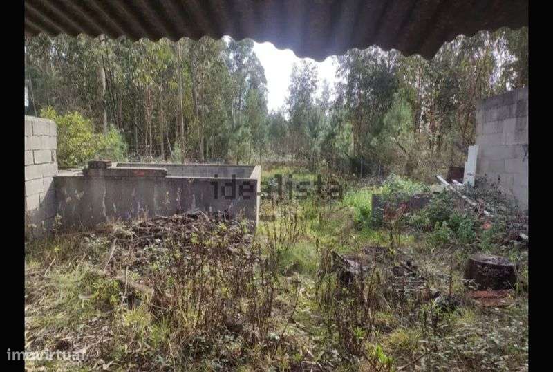 Terreno rústico 1000 mt2 - Grande imagem: 5/5