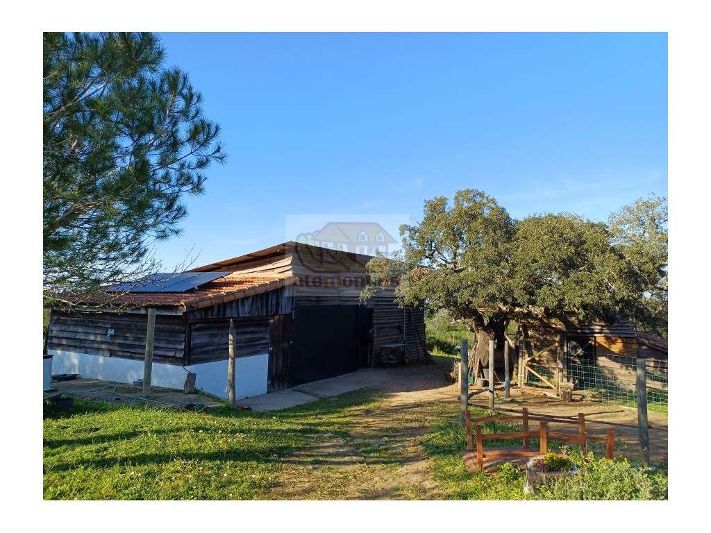 Monte Alentejano aninhado na Natureza - Melides - Grande imagem: 4/12