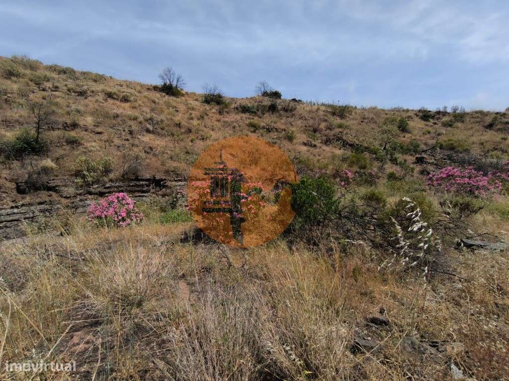TERRENO COM 24.760 M2 - CORTE ANTÓNIO MARTINS - VILA NOVA DE CACELA... - Grande imagem: 4/27