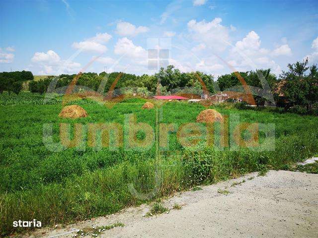 De vanzare in FUNDATURA, 14.727 mp - Imagine principală: 3/7