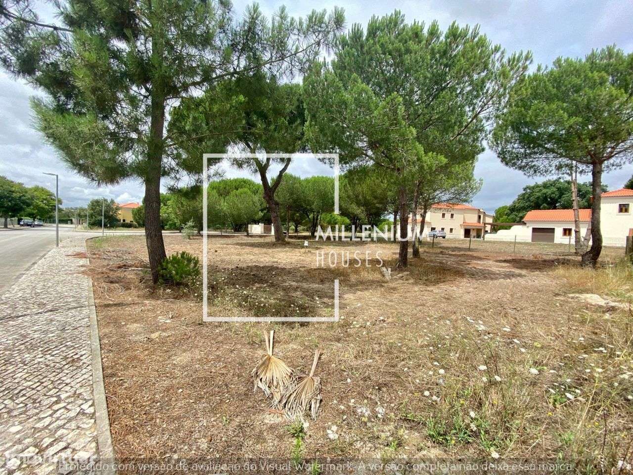 **Terreno em Venda | Golfe | Vila Nova de Santo Estêvão** - Grande imagem: 5/20
