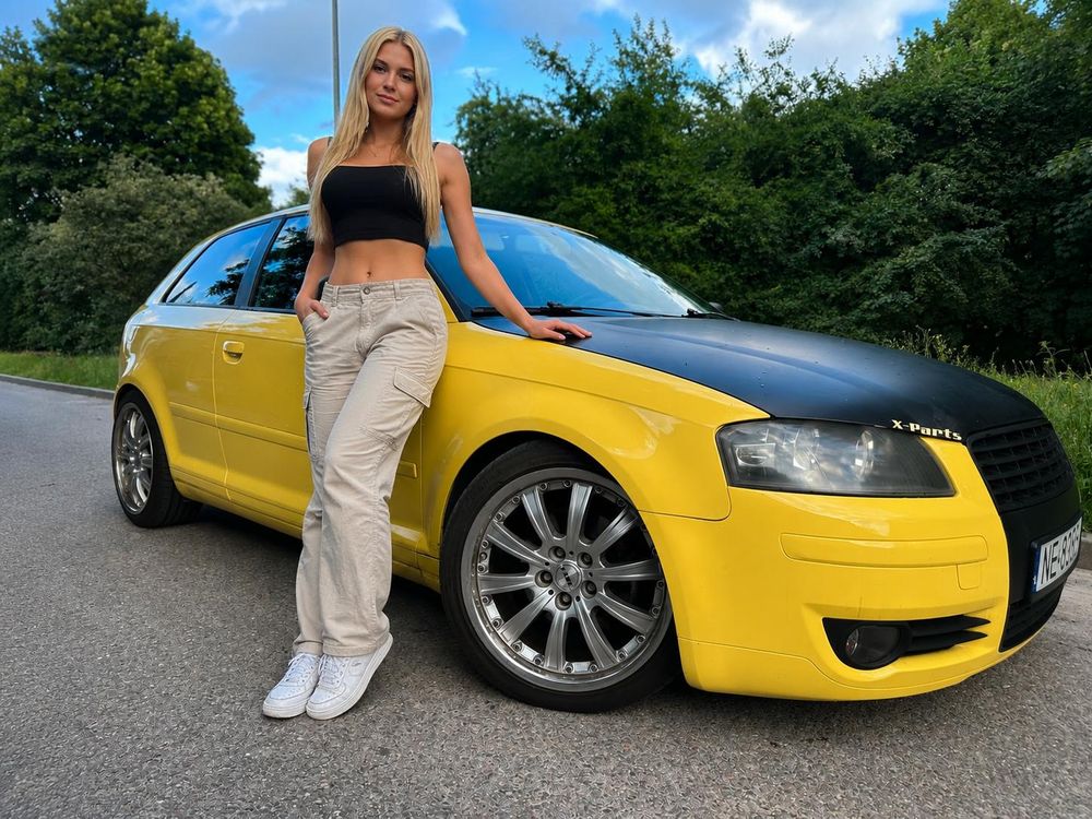 Audi A3 8P (2003-2012) 2.0 FSI Ambition 2003