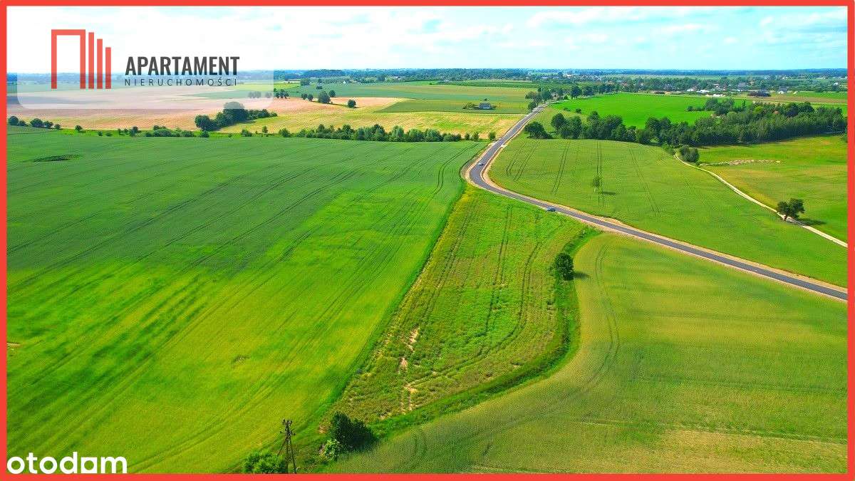 Osówiec Hit cenowy 7234 m2 super lokalizacja - Pełny obrazek: 2/18