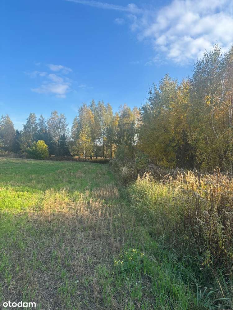 Działka budowlana Wyględy gm. Leszno-6