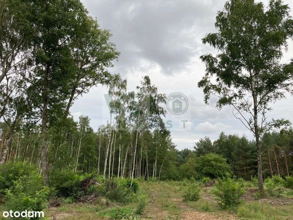 Radzyny - działka budowlana pod lasem-5