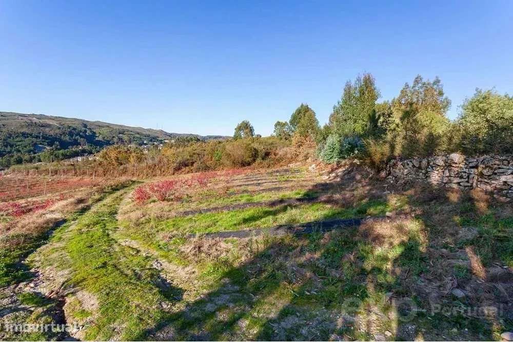 Quinta do Tapado Novo - Baião - Grande imagem: 5/16