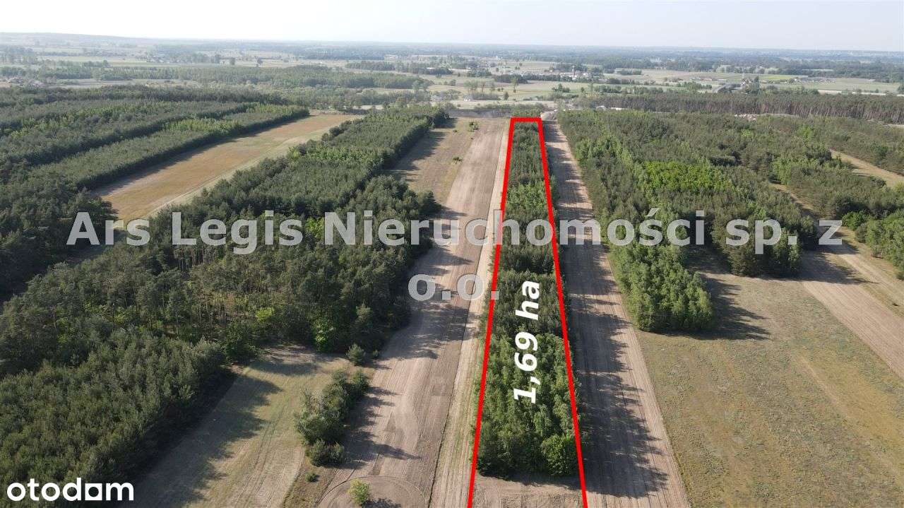 Działka, 16 900 m², Cichów - Pełny obrazek: 4/8