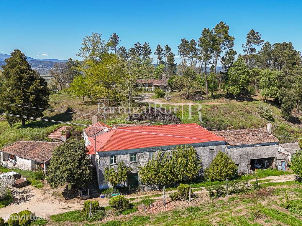 Quinta de 4 ha com 3 casas e cerejeiras no Fundão, ideal para turismo - Grande imagem: 3/60