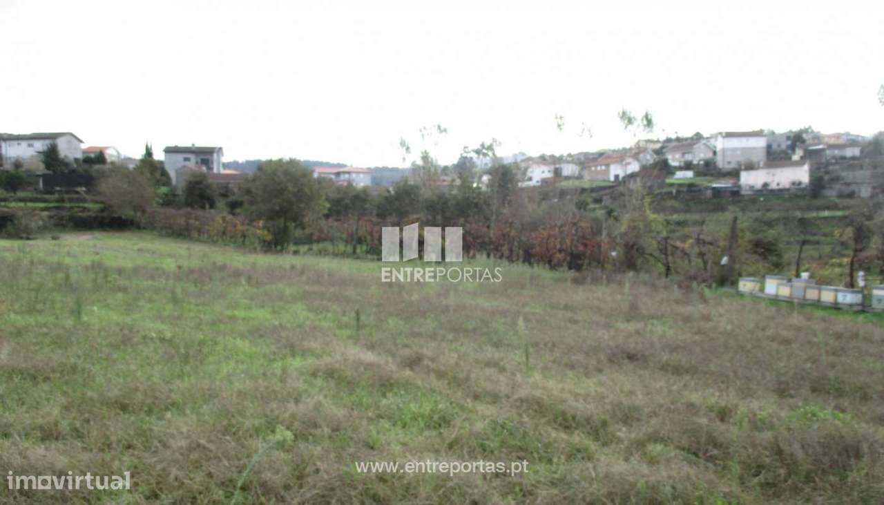 Venda Terreno, Avessadas, Marco de Canaveses - Grande imagem: 4/41