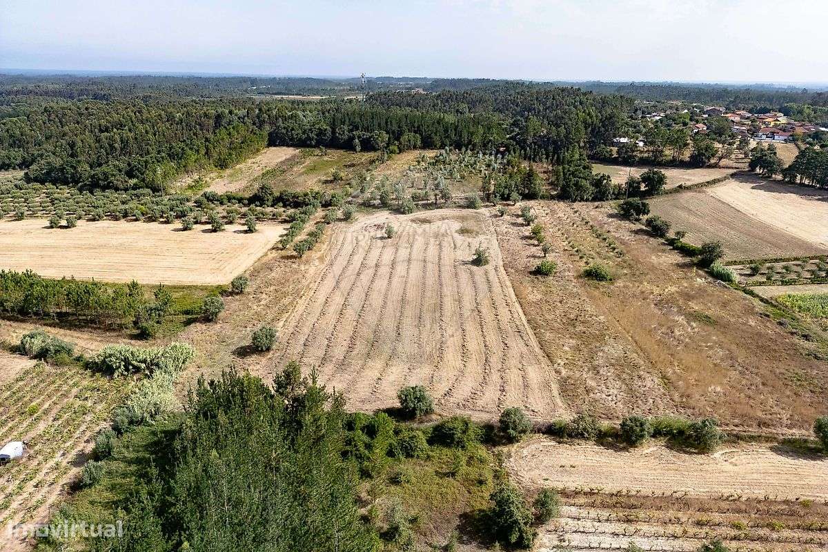 Terreno  para venda - Grande imagem: 5/8