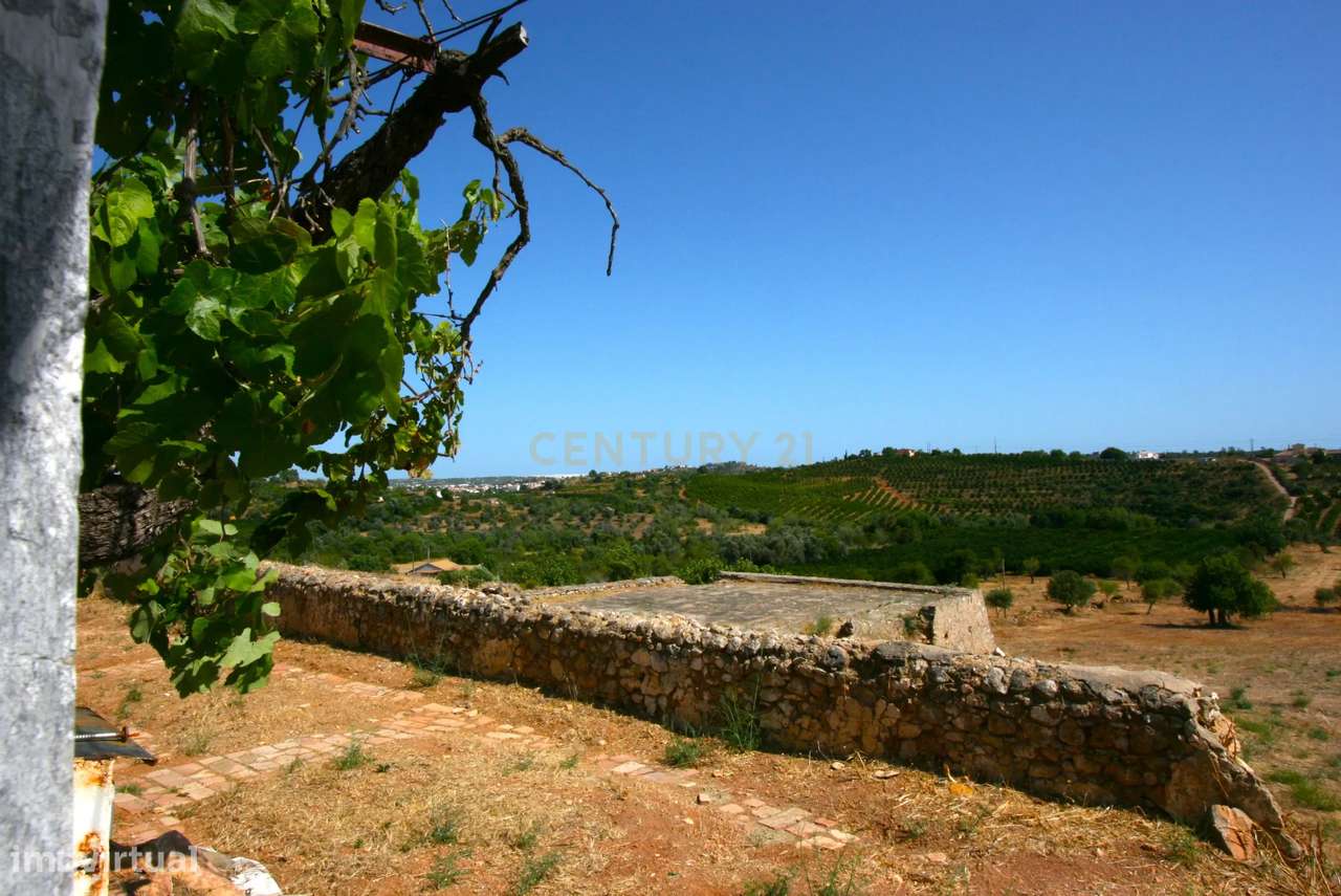 Terreno com ruína e projeto em aprovação para uma propriedade de 547 m - Grande imagem: 4/51
