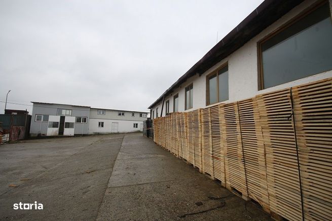 Vindem 2 Hale Si Teren 2736 mp Magura Vizavi de Farbe-10