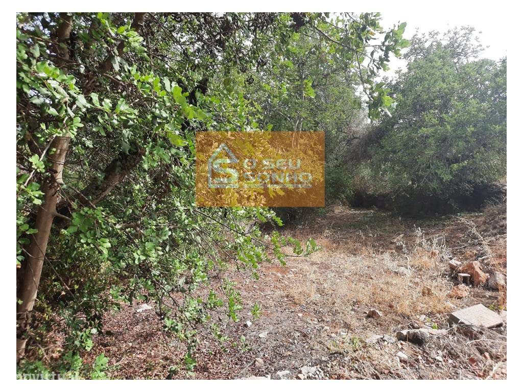 Terreno Rústico nos Machados - Grande imagem: 4/6