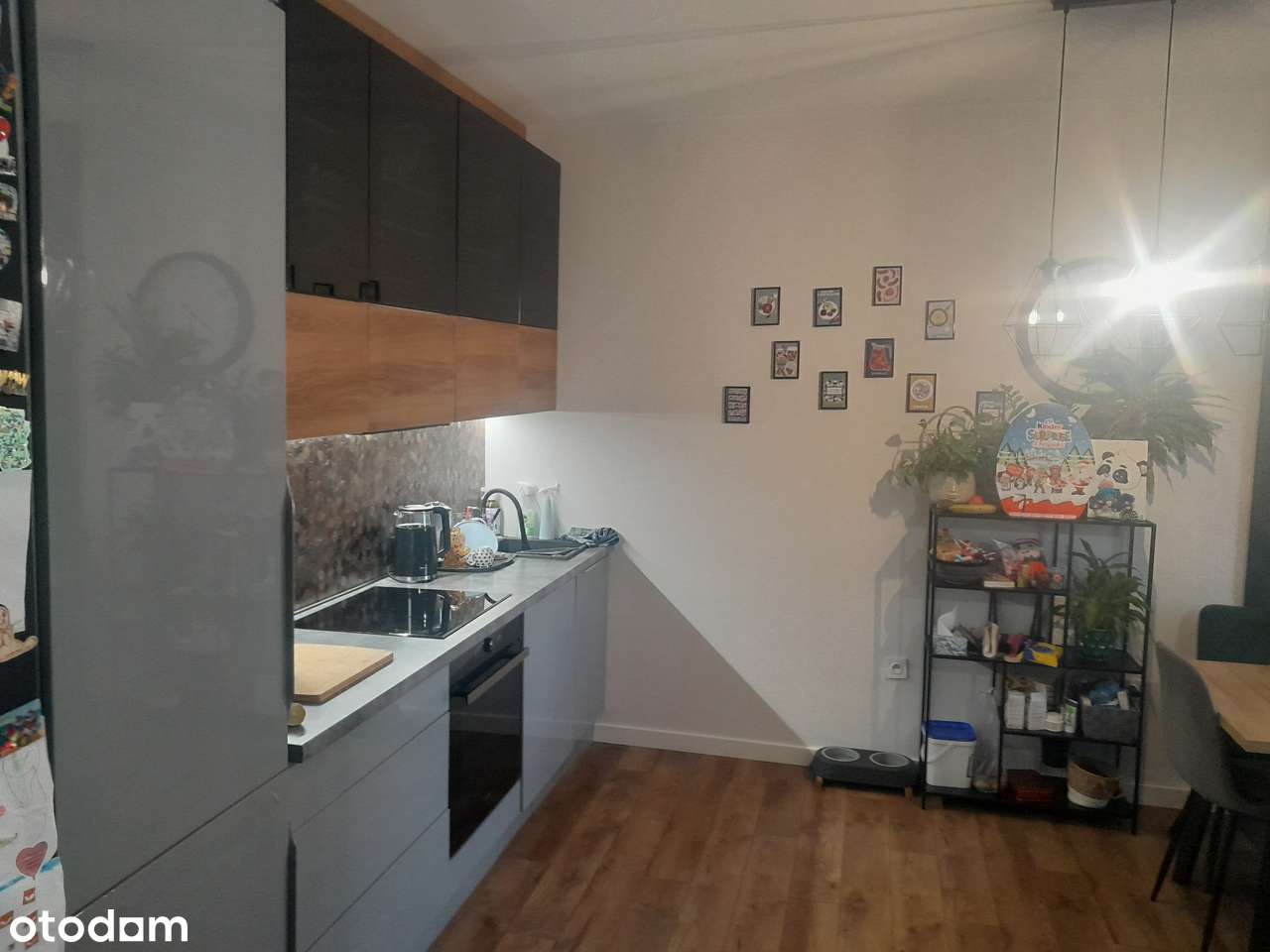 55 mkw nowoczesne mieszkanie - Pełny obrazek: 2/14