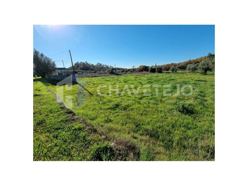 Terreno com viabilidade de construção, próximo de bons acessos, a 1... - Grande imagem: 2/5