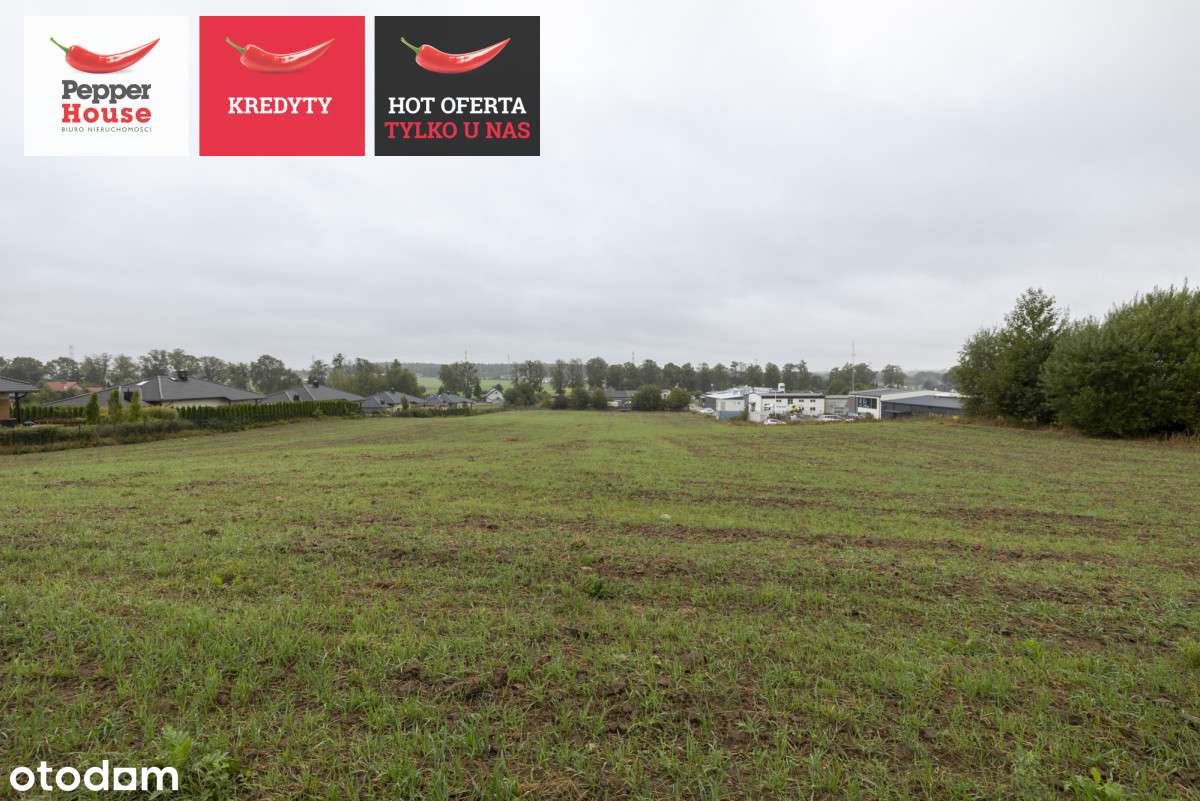 ph231038 - Pełny obrazek: 5/8