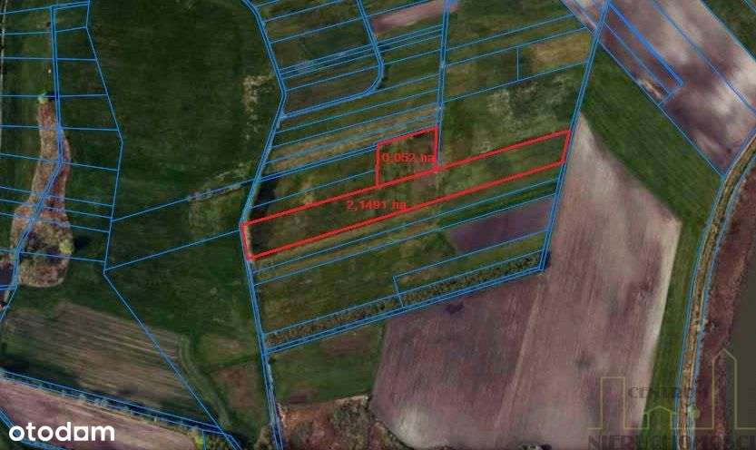 Grunt rolny stanowiący łąkę - Pełny obrazek: 4/4