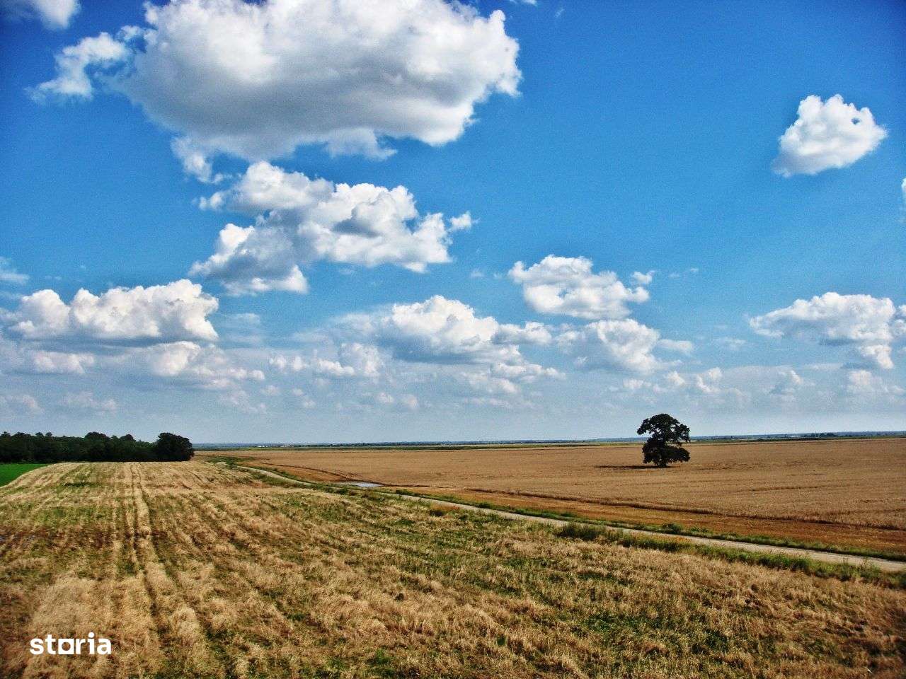 Ocazie investitie zona Frumușani, langa proiect in dezvoltare.-15