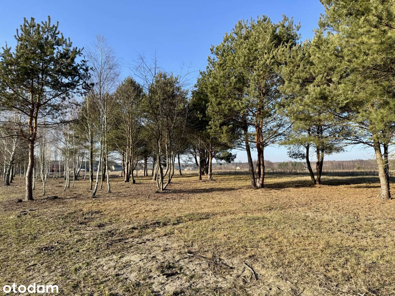 Działki budowlane przy jeziorze Białym-5