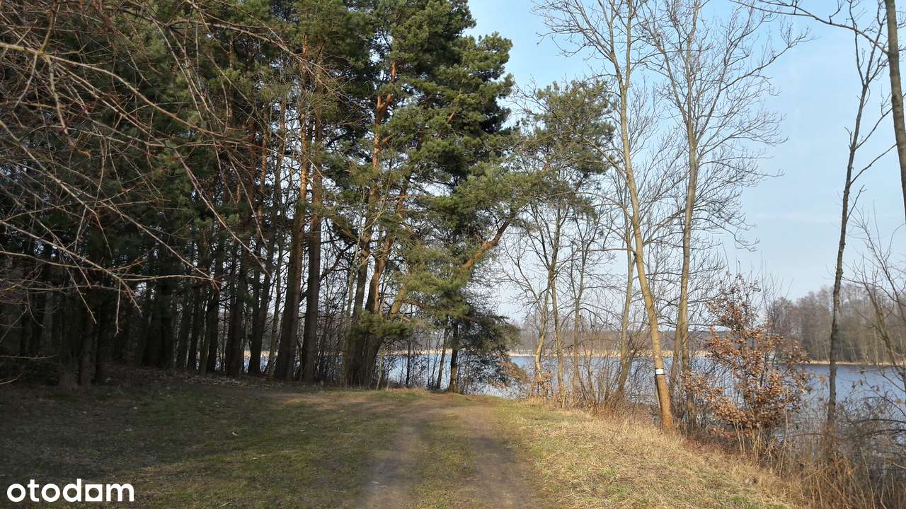 Zalew Koronowski , przy lesie , 90m do Jeziora -zobacz! 1485m - Pełny obrazek: 5/8