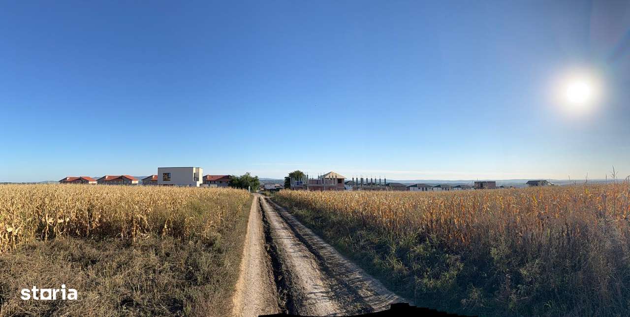 TEREN PT PROIECT VILE 8445 MP IASI PACURARI VALEA LUPULUI 1 DECEMBRIE-4