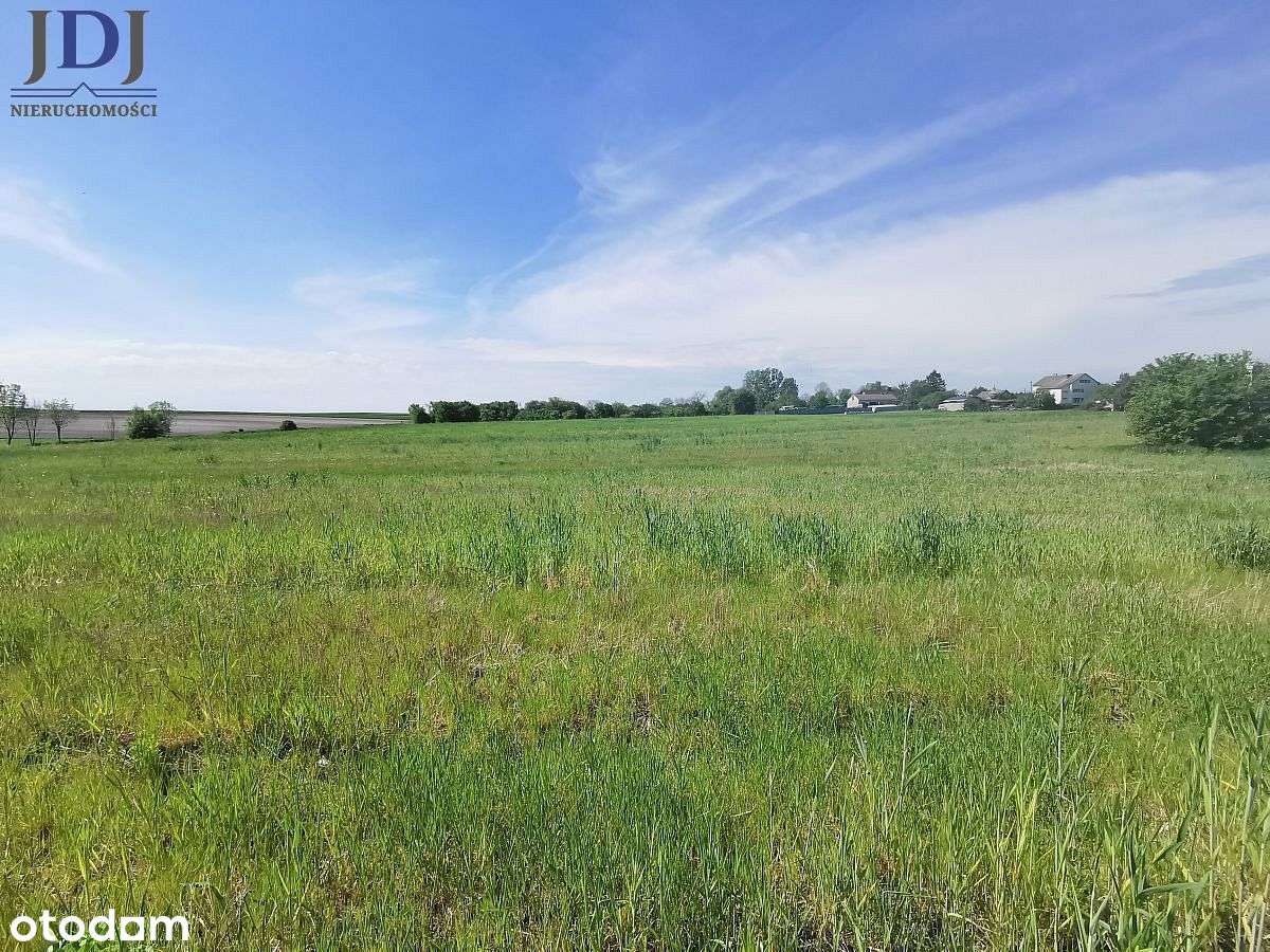 DZIAŁKA BUDOWLANA 1502 M2 - NOWE DEPUŁTYCZE - Pełny obrazek: 3/5