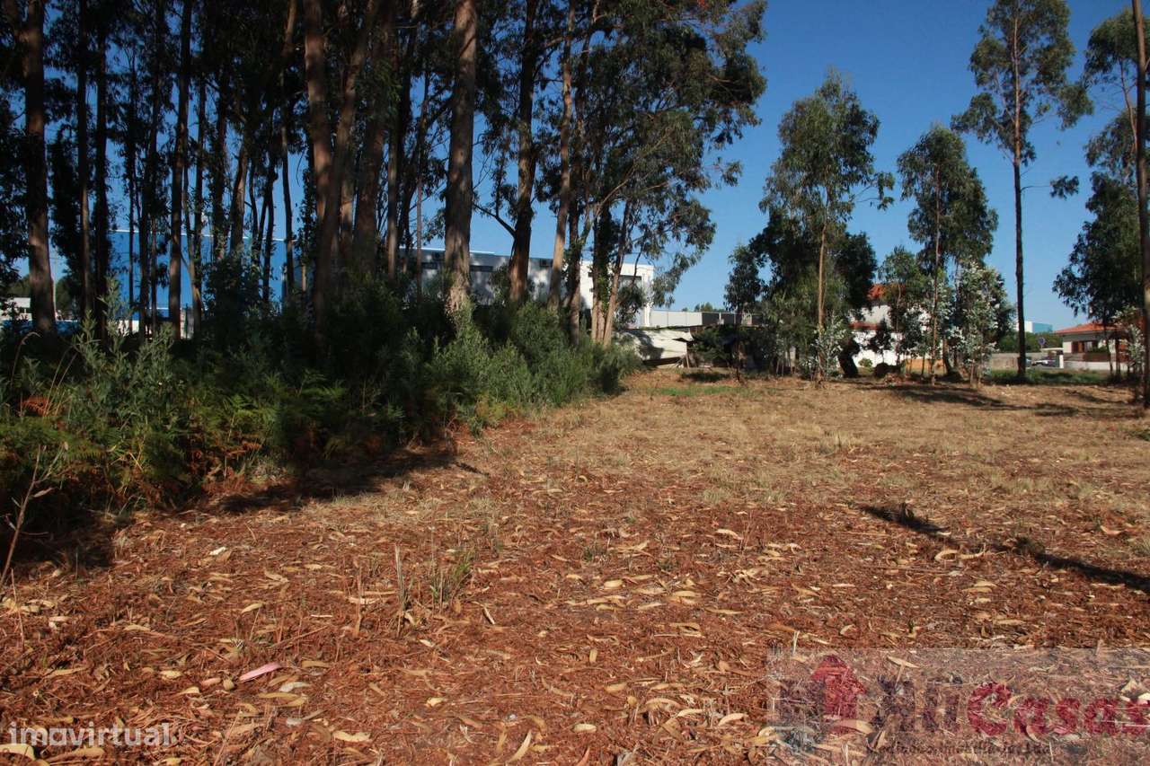 Excelente Terreno P/Construção em Altura-18