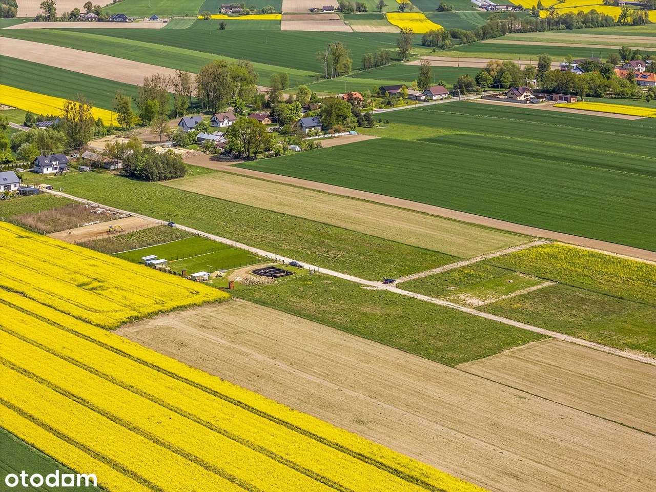 Działka budowlana, Widzew Nowosolna Andrespol Łódź 5 min - Pełny obrazek: 4/4