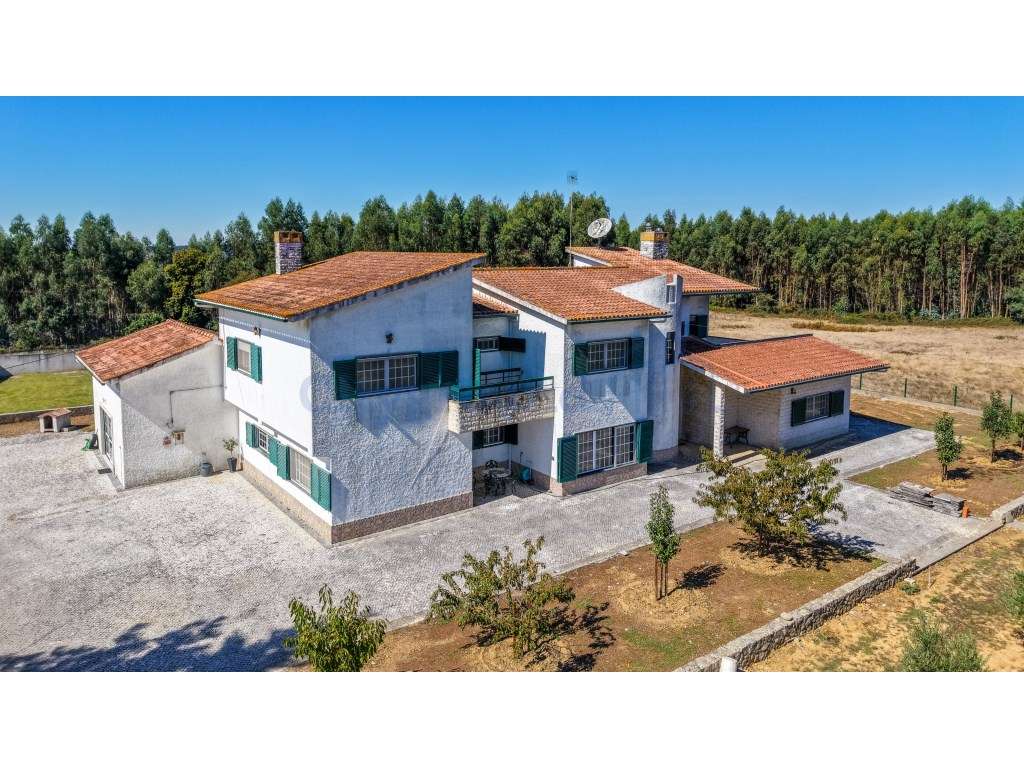 Quinta com 3,14 Hectares e Piscina | Ferreira do Zêzere-53