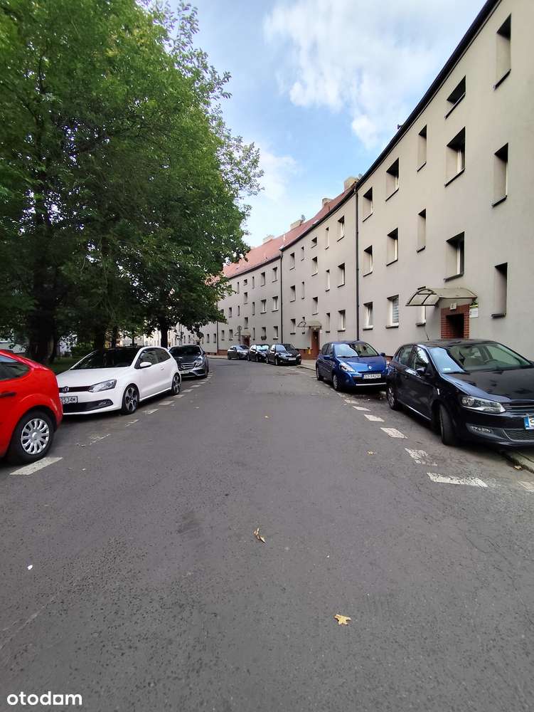 2 pokoje, wysoki parter, ogrzewanie gazowe, blisko parku Kachla BYTOM-11