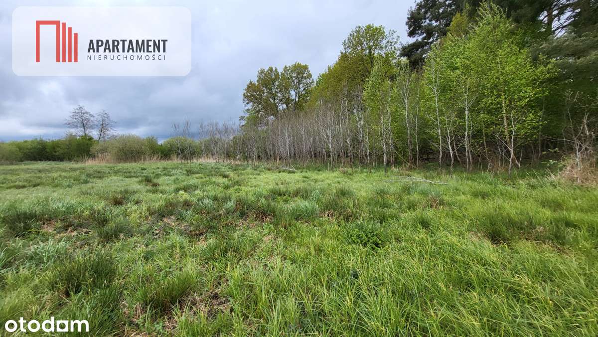 Łąki w Staniewicach, - Pełny obrazek: 4/5