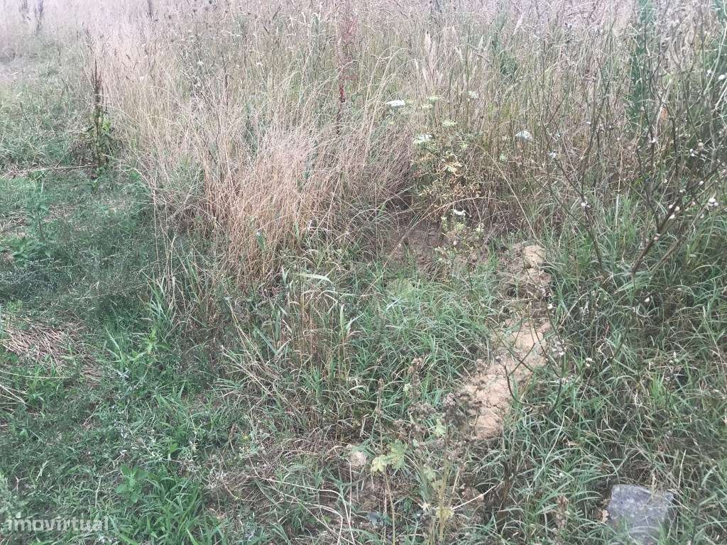 Terreno para construção de Moradia - Estarreja - Salreu - Grande imagem: 3/6