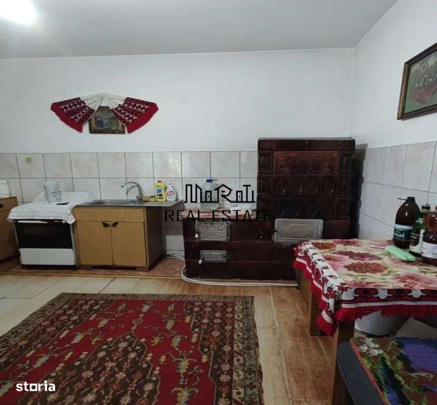 Casa P+M cu teren generos si loturi suplimentare in Baia de Cris-8