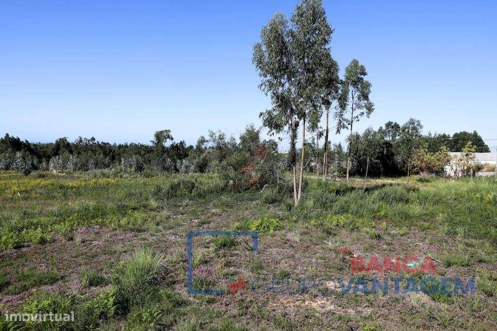 Conjunto 2 Terrenos Urbanos - Rio Meão / Stª Maria da Feira - Grande imagem: 4/7