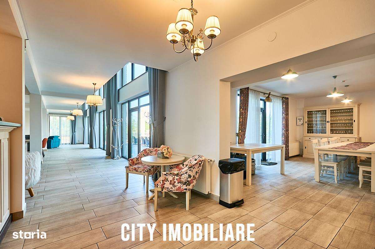 Casa de vacanta in Toplita, langa partia de schi, ideala pentru relaxa-13