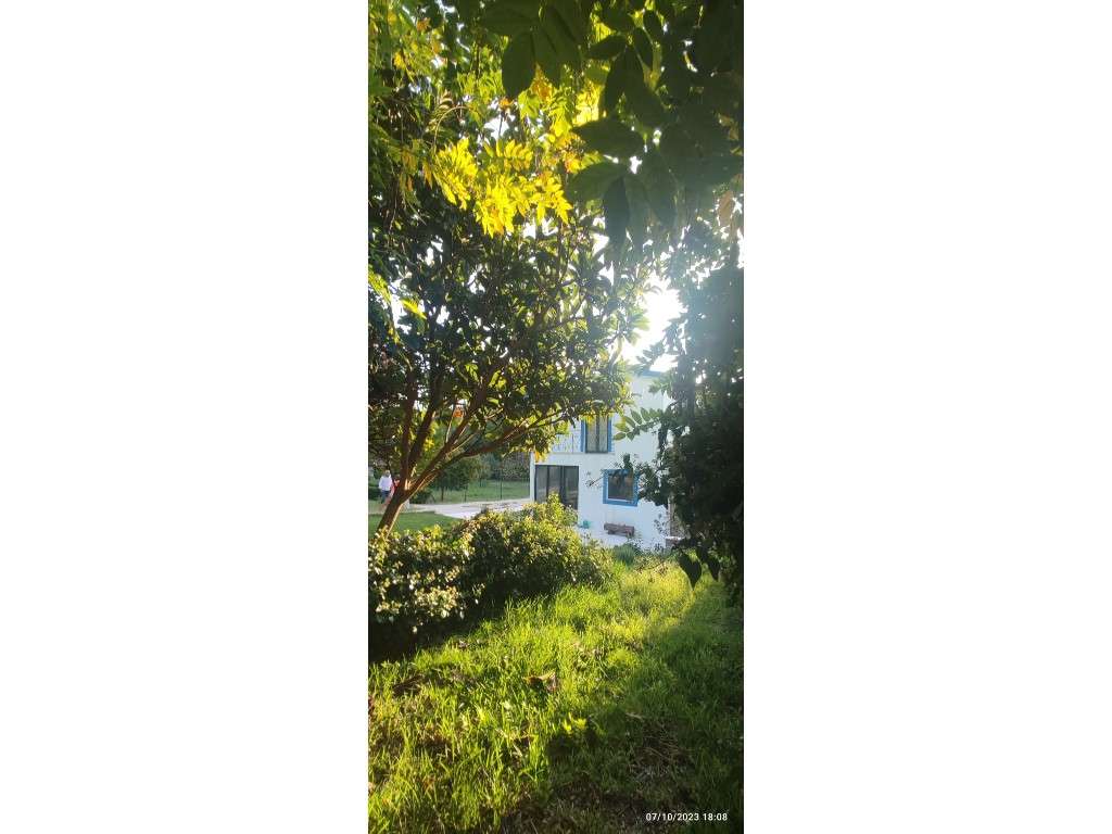 Quinta com duas moradias, anexos, diversas arvores de fruto, vinha ...-49