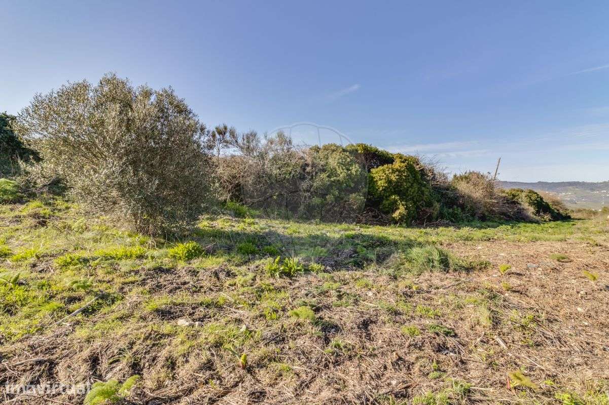 Quinta T1 para venda - Grande imagem: 4/20