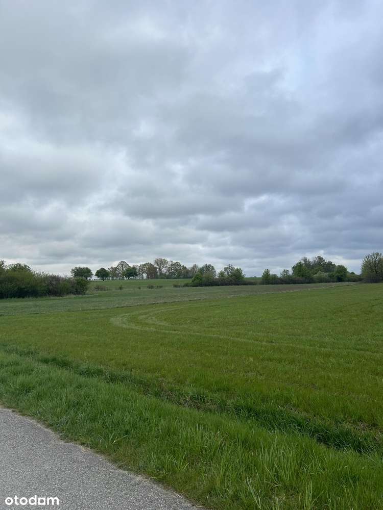 Piękne działki budowlane w Dzbanicach  Gmina Pokrzywnica Narew blisko-3