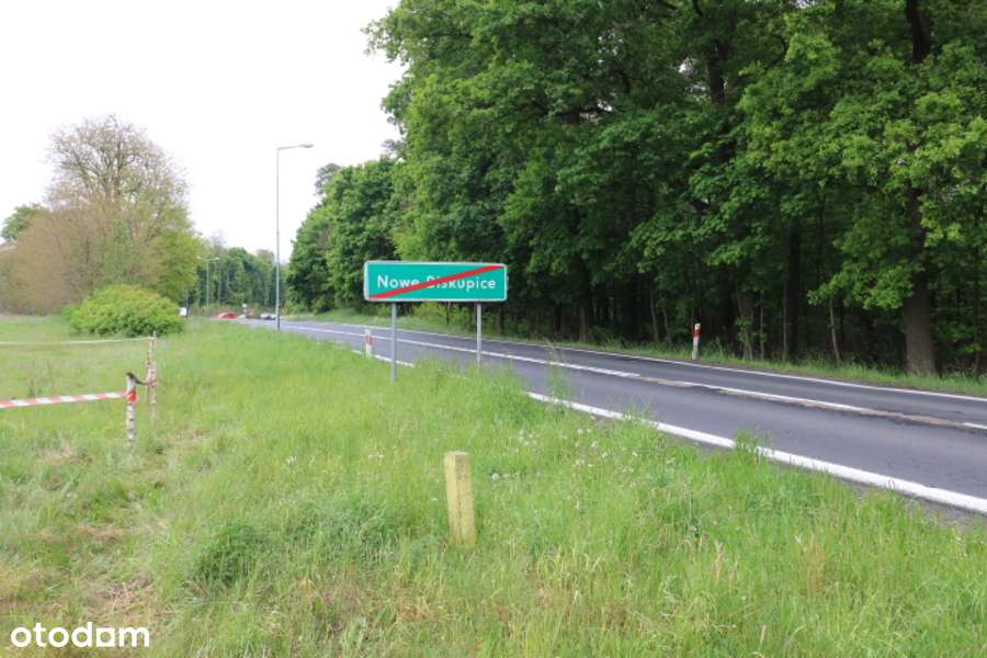 Działka w Nowych Biskupicach – 1333 m2-6