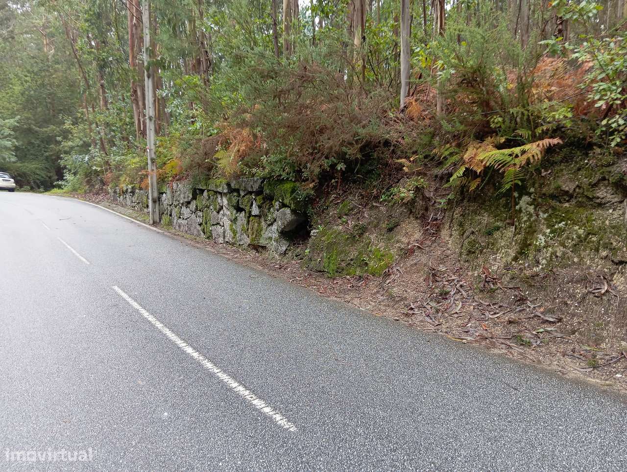 Terreno em Ribeiros, Fafe - Grande imagem: 4/8