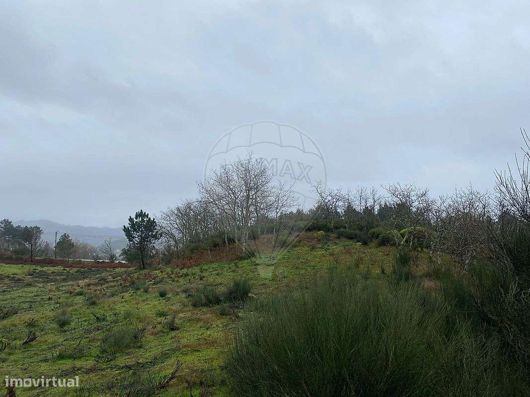 Terreno  para venda - Grande imagem: 2/10