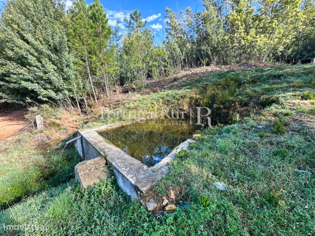 Quintinha de 20 hectares - Grande imagem: 1/60