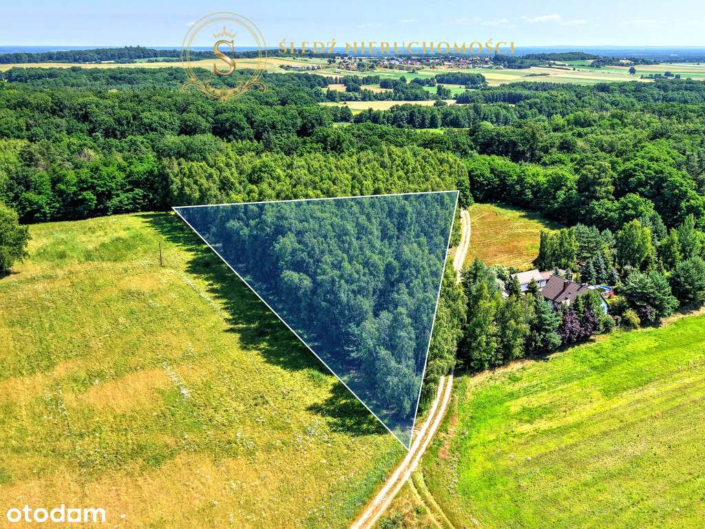 1,2 ha Działka Budowlana 45 min od Wrocławia + Las-6